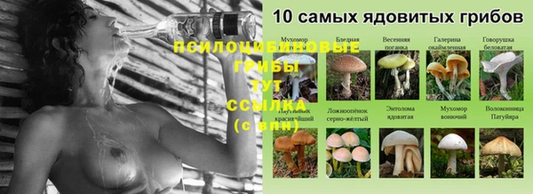 шишки Армянск