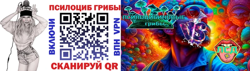 Псилоцибиновые грибы мицелий  нарко площадка официальный сайт  Белая Холуница 